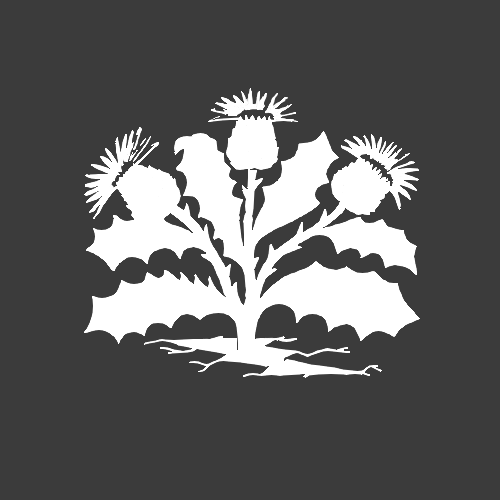 Navigation bar avatar